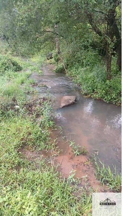Campo con Arroyo en venta de 6.5 has ubicado en Emboscada