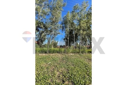 Venta Terreno Isla Aveiro Fracción El Eucalital, Isla Aveiro, Limpio, Central