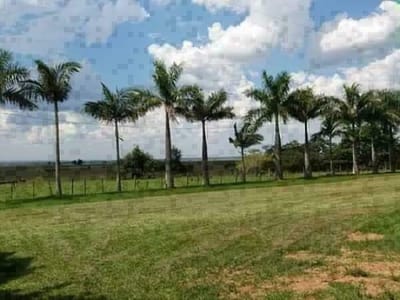 ???? VENTA DE 285 HECTÁREAS - SAN MIGUEL, MISIONES ????