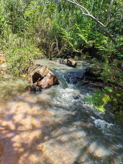 ID 14727 - Vendo Terrenos En Loma Grande, Colindante Con Arroyo