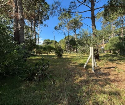 Terreno En Venta De 600m2 Ubicado En La Paloma