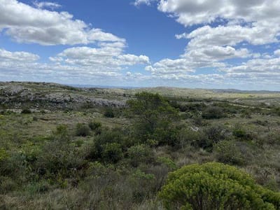 Divina chacra en Sierras de Aiguá de 8H en venta