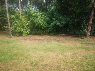 VENDO TERRENO EN SAN BERNARDINO