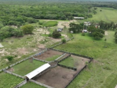 Vendo Propiedad Rural En Presidente Hayes Zona Tacuara