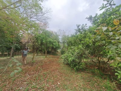 Venta de Terreno en Caacupé, Cordillera
