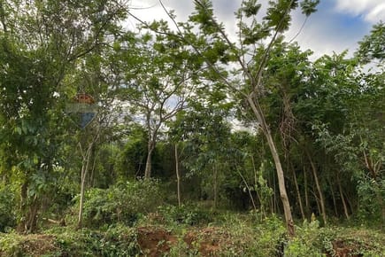 En Venta Terreno Emboscada