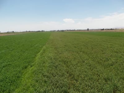 GRAN OPORTUNIDAD SE VENDE TERRENO EN SAN CAMILO, A 10 MIN DE LA PANAMERICANA SUR