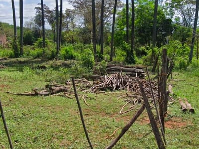 Vendo Terreno De 3800 M2 En Itauguá Guazú