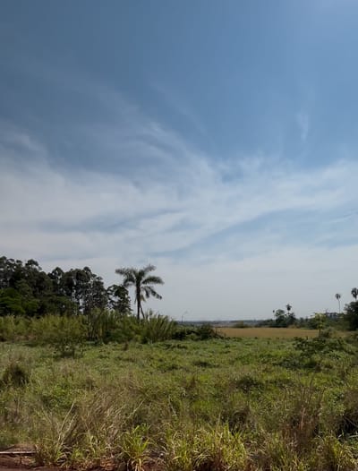 SOBRE EL CORREDOR METROPOLITANO - 7 HAS EN VENTA KM 17 ACARAY