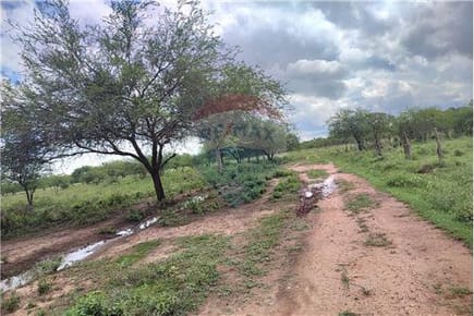  Terreno-Venta-PY Presidente Hayes Villa Hayes  RUTA 12  CHACOI 