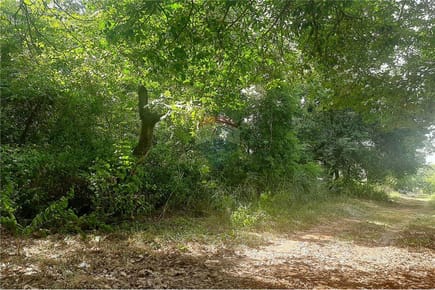 TERRENO EN LA CIUDAD DE LIMPIO BARRIO ISLA AVEIRO