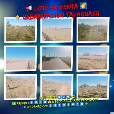 REMATO LOTE POR MOTIVO DE VIAJE