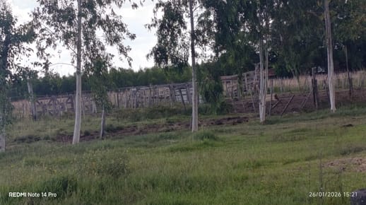 ???? VENTA DE CAMPO GANADERO – SAN JUAN BAUTISTA, MISIONES ????