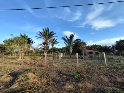 Terreno En Venta