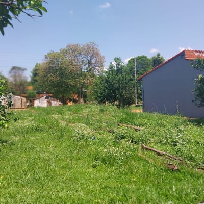 VENDO TERRENO EN MORA CUE LUQUE