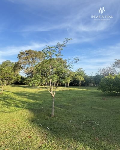 Quinta Privada Y Rentable Para Retiros En Paraguay ¡Emboscada!