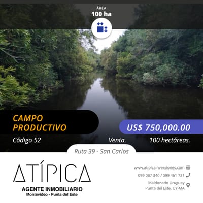 Campo Productivo. San Carlos Maldonado 100 hectáreas