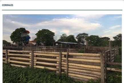 Estancia/Campo - Venta - General José María Bruguéz, Presidente Hayes, Paraguay