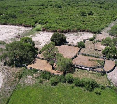 VENDO ESTANCIA PARA ACTIVIDAD GANADERA EN Ruta Ñ Km 47 VILLA HAYES 