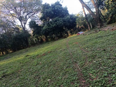 vendo terreno en caacupe aquino cañada
