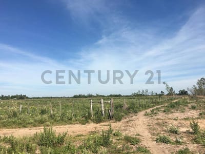 Vendo 49 hectareas en Abai Caazapa-Gran oportunidad de inversion