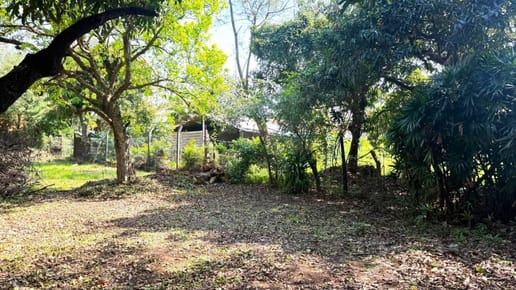 VENDO TERRENO EN LUQUE (Entrada al Barrio Palma Loma) - ID 39910
