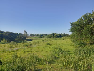 EN VENTA – TERRENO DE 2 HECTÁREAS EN NUEVA ITALIA 