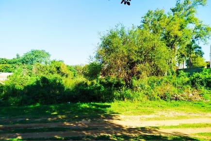 Terreno-Venta-Las Palmeras c/ Chivato, El Peñón, Limpio, Central