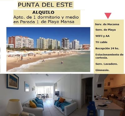 Apartamento  Frente A La Mansa Parada 1 -- ENERO Y FEBRERO  ALQUILADO --