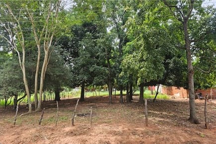 ¡Gran oportunidad en Luque! Terreno de 1.546 m² en venta