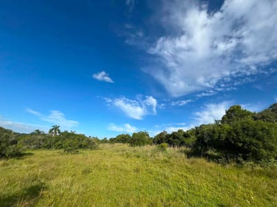 Campo en Rocha