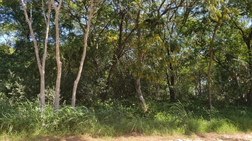 Lote en venta en Surubi'i