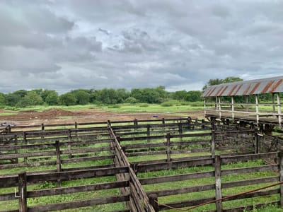 Lote en venta en Mariano Roque Alonso