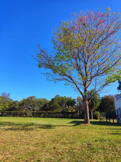 Lote en venta en Aqua Village