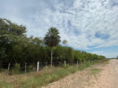 Lote en venta en San Blás
