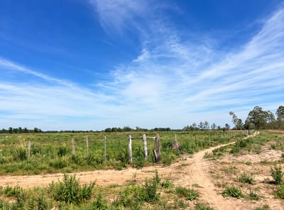 Vendo Campo Agrícola en Venta en Abaí | 19,9 Ha | Ideal para Producción