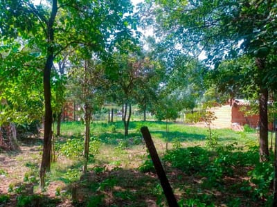 TERRENO EN VENTA LIMPIO - RINCÓN DEL PEÑÓN 410,76 m²
