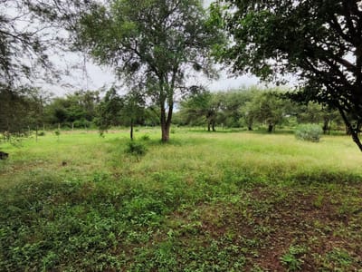 VENDO TERRENO EN NUEVA ASUNCION - CHACOI