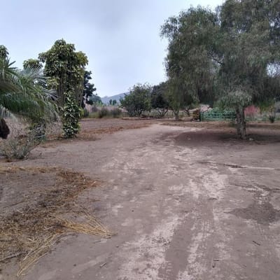 Vendo terreno  Pachacamac