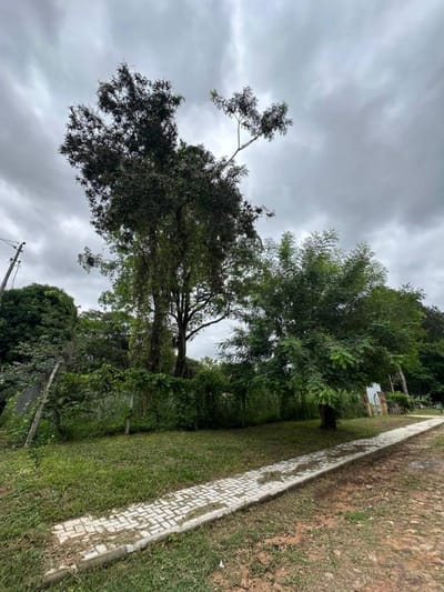 VENTA DE TERRENO EN SAN BERNARDINO