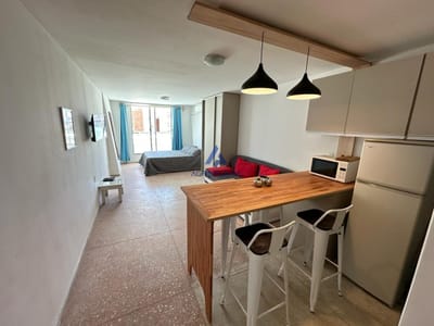 Monoambiente en alquiler Invernal y Temporada Punta del Este