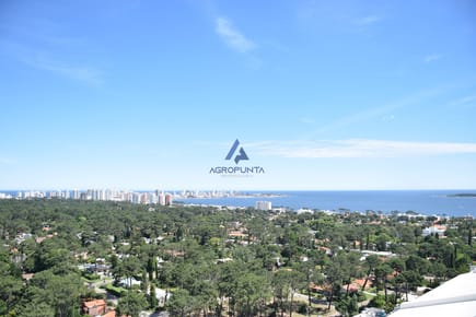 Venta Pent House 2 Dormitorios y Medio Punta del Este