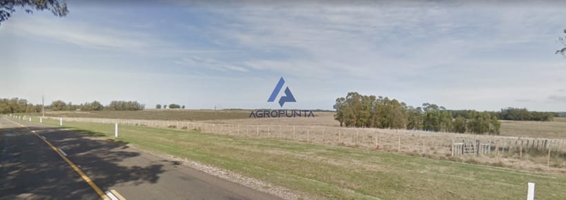 Chacra sobre ruta 104 de 20 hectareas