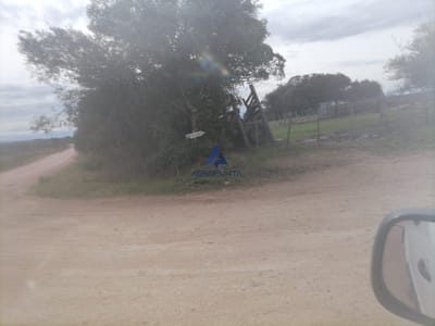 86 HECTAREAS FORESTAL RUTA 109