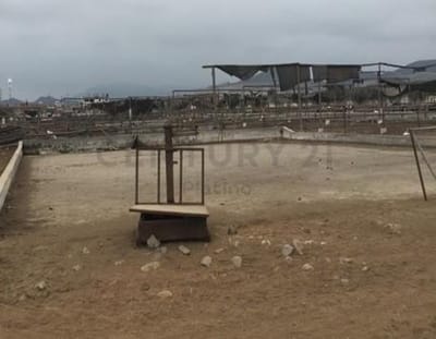 Amplio Terreno Industrial
