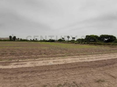 Vendo Terreno a Pie de Carretera en Cerro Azul Km. 128