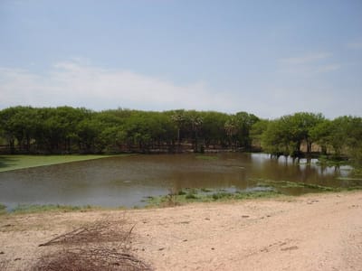 Estancia Agroganadera en venta  CAMPO GANADERO/AGRICOLA