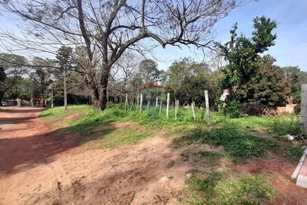 Terreno - Venta - Villa Elisa, Paraguay