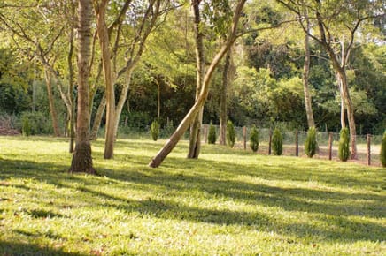 Areguá Forest Un Paraíso Natural