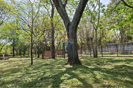 Terreno Ideal en San Bernardino, 885m² disponibles